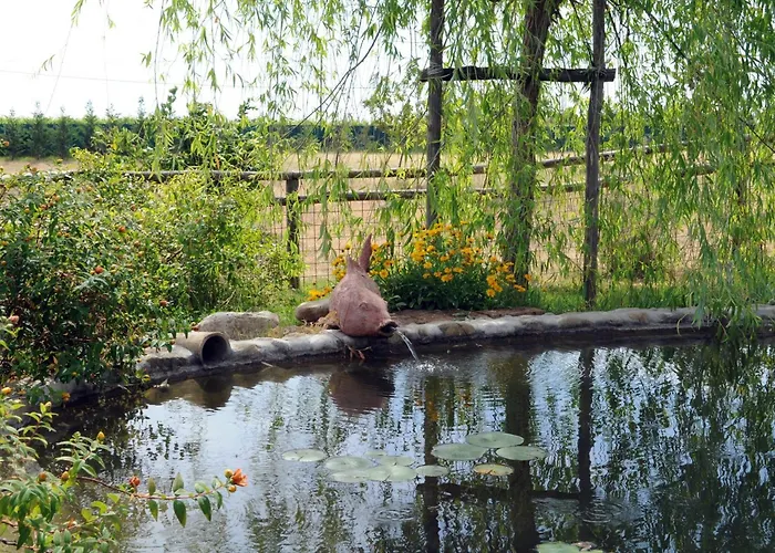 Azienda Agrituristica BellavistaAgriturismo